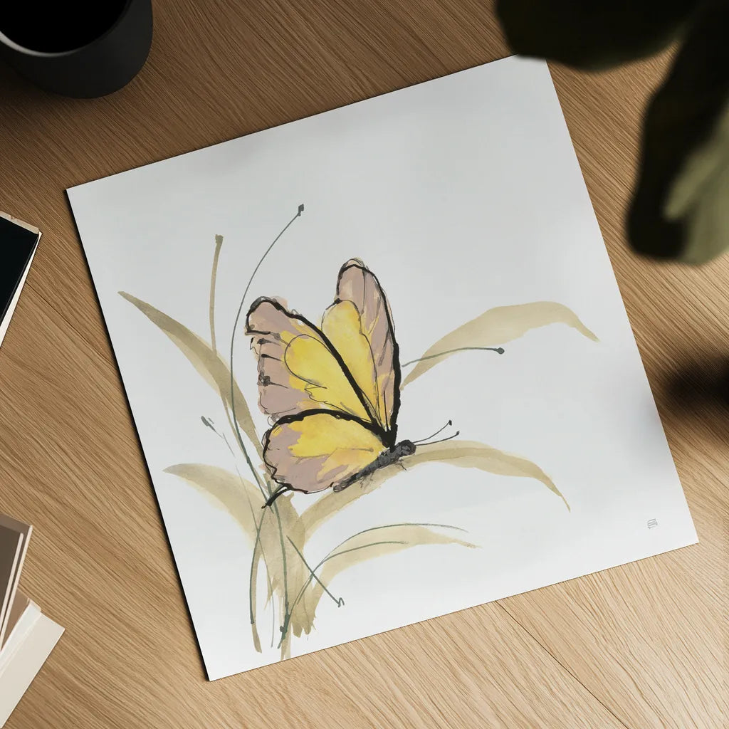 Butterfly Yellow I by Chris Paschke. Shown as a detailed flat fine art print, highlighting archival giclee quality. Available as an archival giclee rolled canvas, fine art paper, or poster print. SKU 100070a.