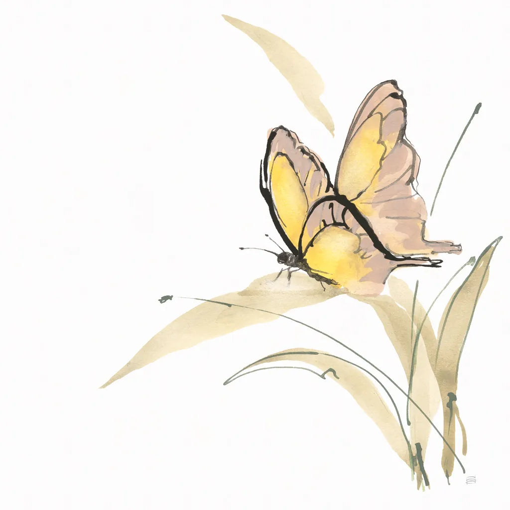 Butterfly Yellow II by Chris Paschke. SKU 100071a. Archival Giclee Fine art print for wall decor.