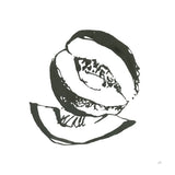 Cantaloupe I BW by Chris Paschke. SKU 64211a. Archival Giclee Fine art print for wall decor.