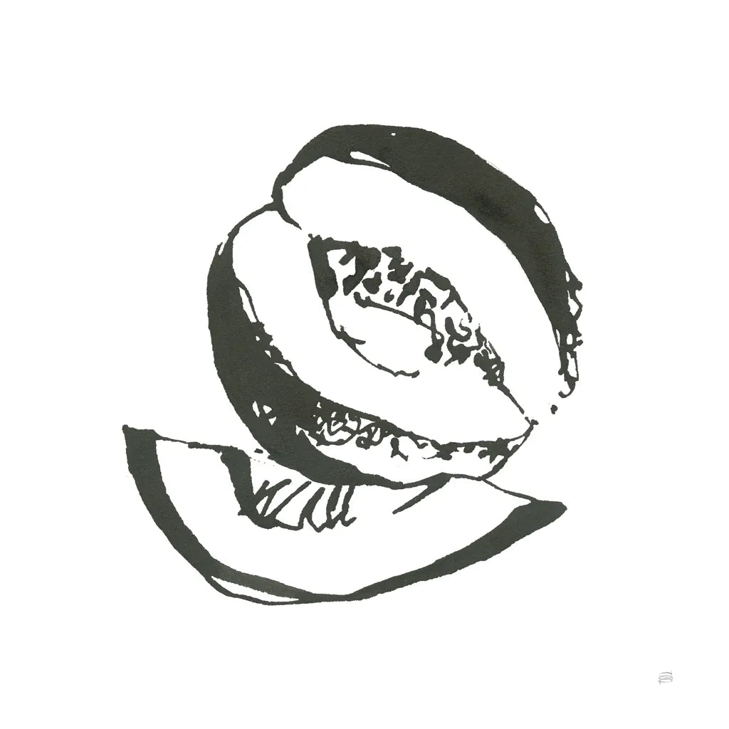 Cantaloupe I BW by Chris Paschke. SKU 64211a. Archival Giclee Fine art print for wall decor.