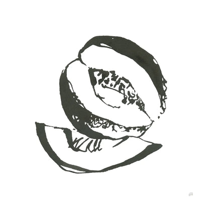 Cantaloupe I BW by Chris Paschke. SKU 64211a. Archival Giclee Fine art print for wall decor.