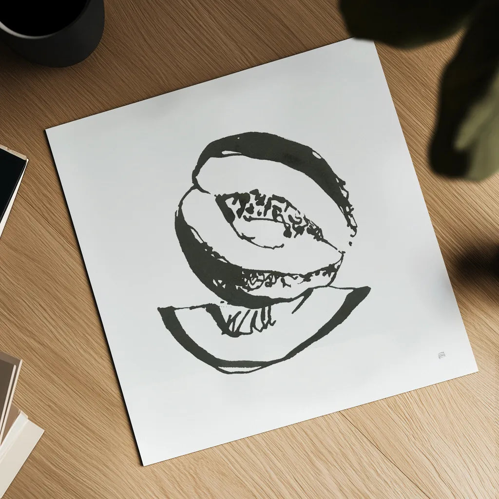 Cantaloupe I BW by Chris Paschke. Shown as a detailed flat fine art print, highlighting archival giclee quality. Available as an archival giclee rolled canvas, fine art paper, or poster print. SKU 64211a.