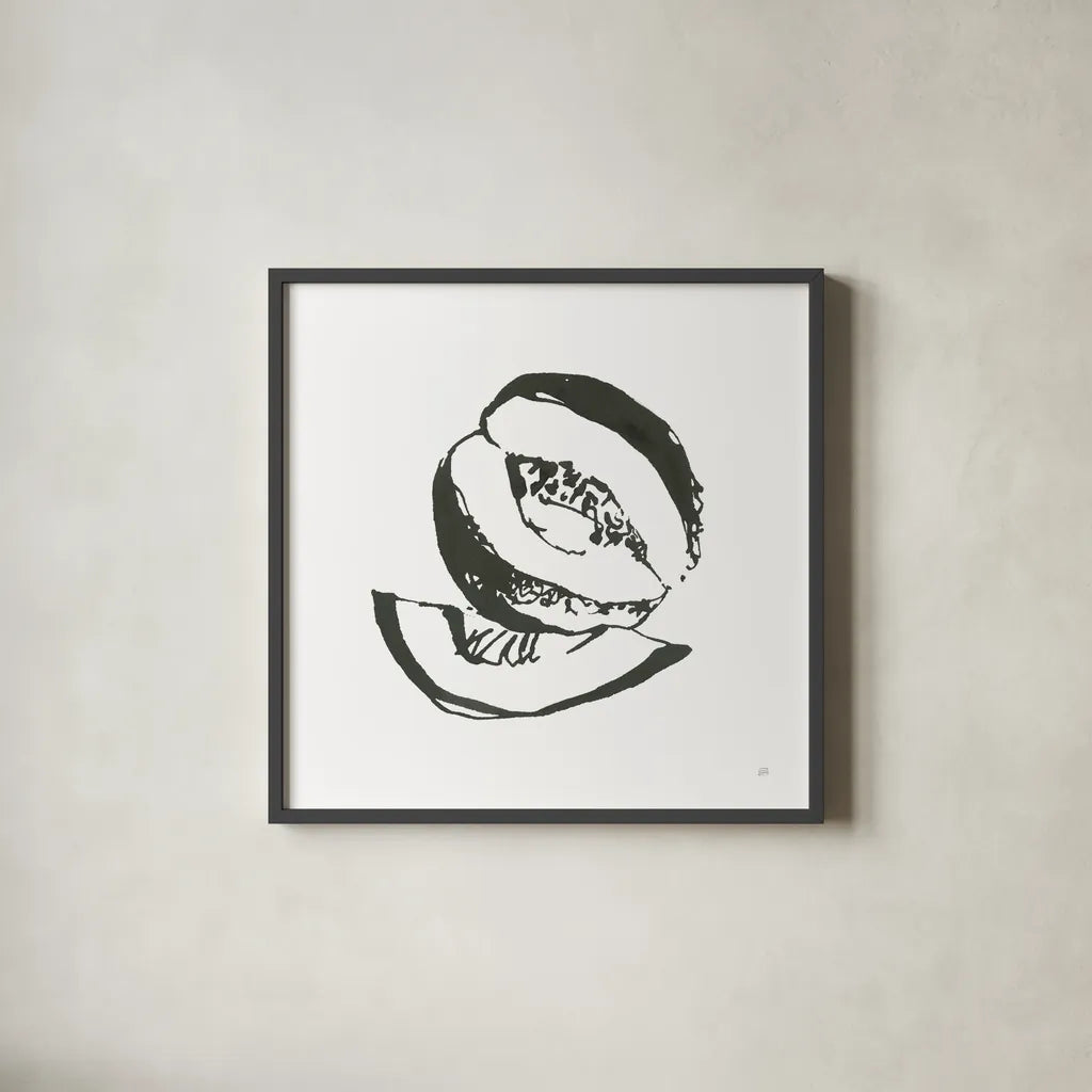 Cantaloupe I BW by Chris Paschke. Shown in a sleek black glass frame for a contemporary gallery look. Available as an archival giclee rolled canvas, fine art paper, or poster print. SKU 64211a.