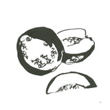 Cantaloupe II BW by Chris Paschke. SKU 64212a. Archival Giclee Fine art print for wall decor.