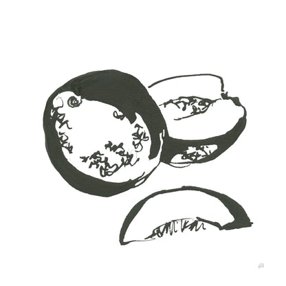 Cantaloupe II BW by Chris Paschke. SKU 64212a. Archival Giclee Fine art print for wall decor.