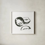 Cantaloupe II BW by Chris Paschke. Shown in a crisp white glass frame for a clean and minimalist style. Available as an archival giclee rolled canvas, fine art paper, or poster print. SKU 64212a.