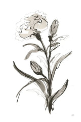 Carnation I by Chris Paschke. SKU 74370h. Archival Giclee Fine art print for wall decor.