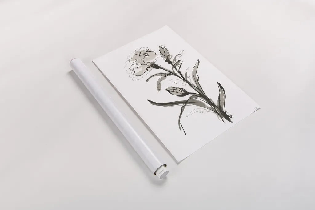 Carnation I by Chris Paschke. shown as a rolled paper print. Available as archival giclee rolled canvas, fine art paper, or poster print. SKU 74370h.