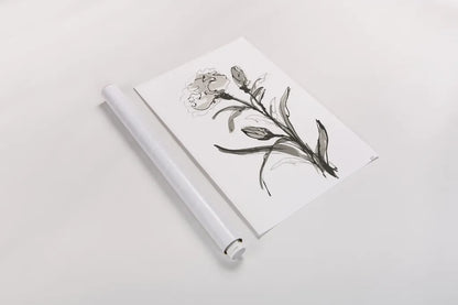 Carnation I by Chris Paschke. shown as a rolled paper print. Available as archival giclee rolled canvas, fine art paper, or poster print. SKU 74370h.