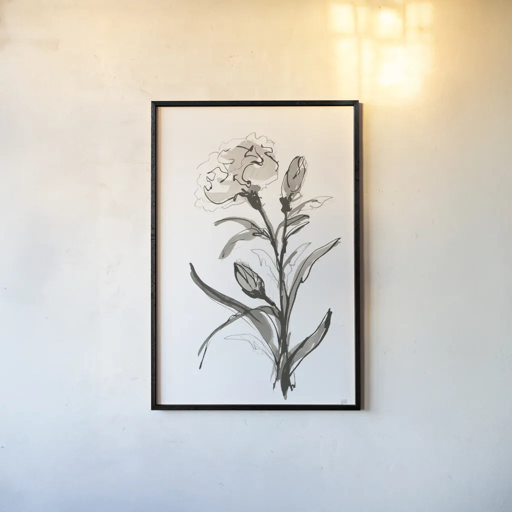 Carnation I by Chris Paschke. shown as a paper print in a black flame. Available as a archival giclee rolled canvas, fine art paper, or poster print. SKU 74370h.