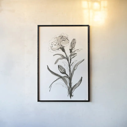 Carnation I by Chris Paschke. shown as a paper print in a black flame. Available as a archival giclee rolled canvas, fine art paper, or poster print. SKU 74370h.