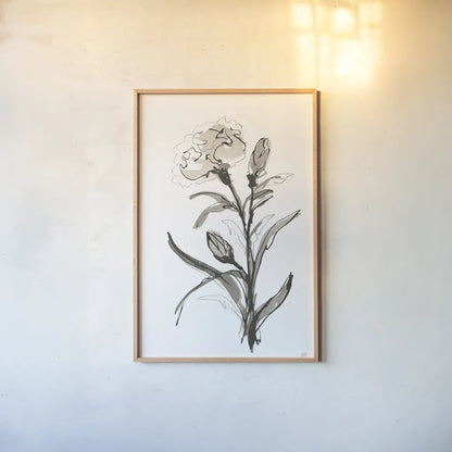 Carnation I by Chris Paschke. shown as a paper print in a natural frame. Available as a archival giclee rolled canvas, fine art paper, or poster print. SKU 74370h.