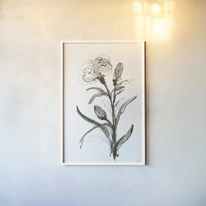 Carnation I by Chris Paschke. shown as a paper print in a white frame. Available as a archival giclee rolled canvas, fine art paper, or poster print. SKU 74370h.