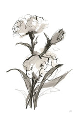 Carnation II by Chris Paschke. SKU 74371h. Archival Giclee Fine art print for wall decor.