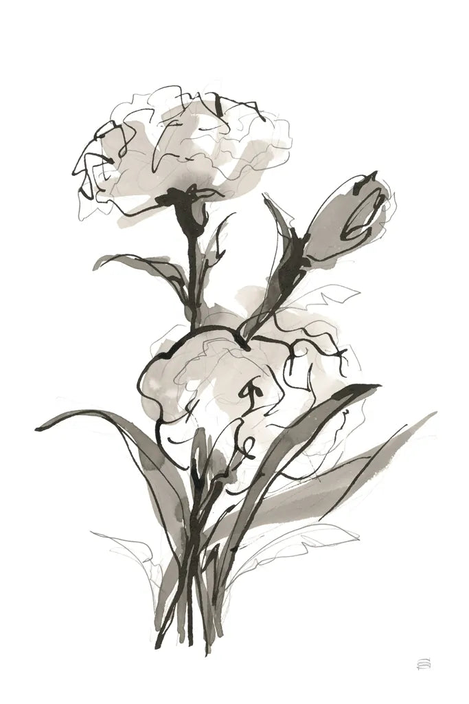 Carnation II by Chris Paschke. SKU 74371h. Archival Giclee Fine art print for wall decor.