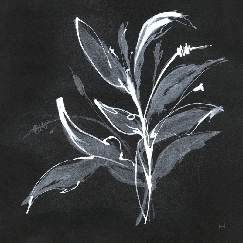 Chalkboard Branch I by Chris Paschke. SKU 73071a. Archival Giclee Fine art print for wall decor.