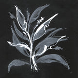 Chalkboard Branch II by Chris Paschke. SKU 73072a. Archival Giclee Fine art print for wall decor.