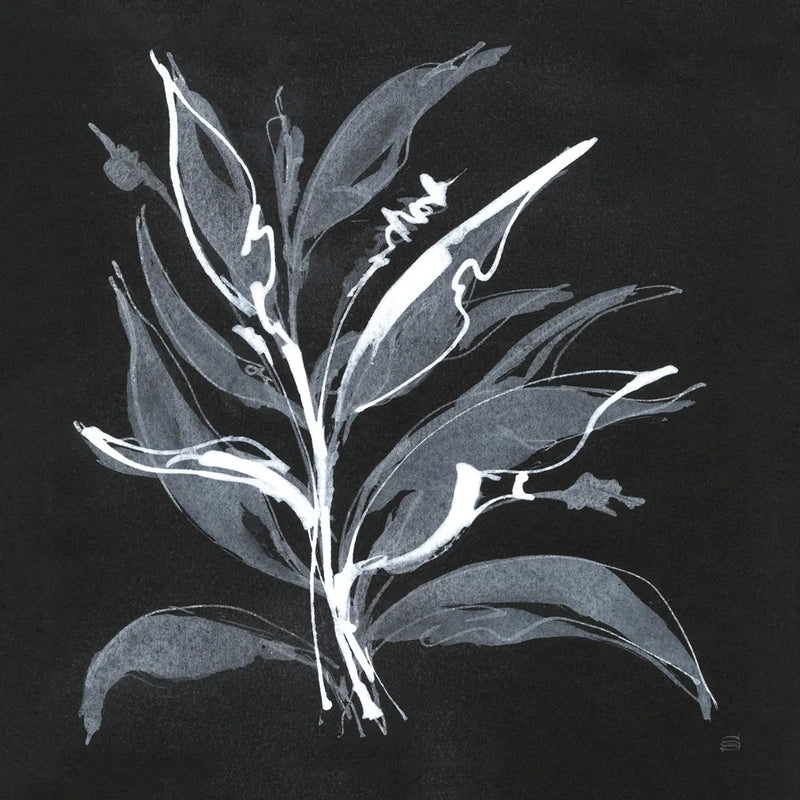 Chalkboard Branch II by Chris Paschke. SKU 73072a. Archival Giclee Fine art print for wall decor.