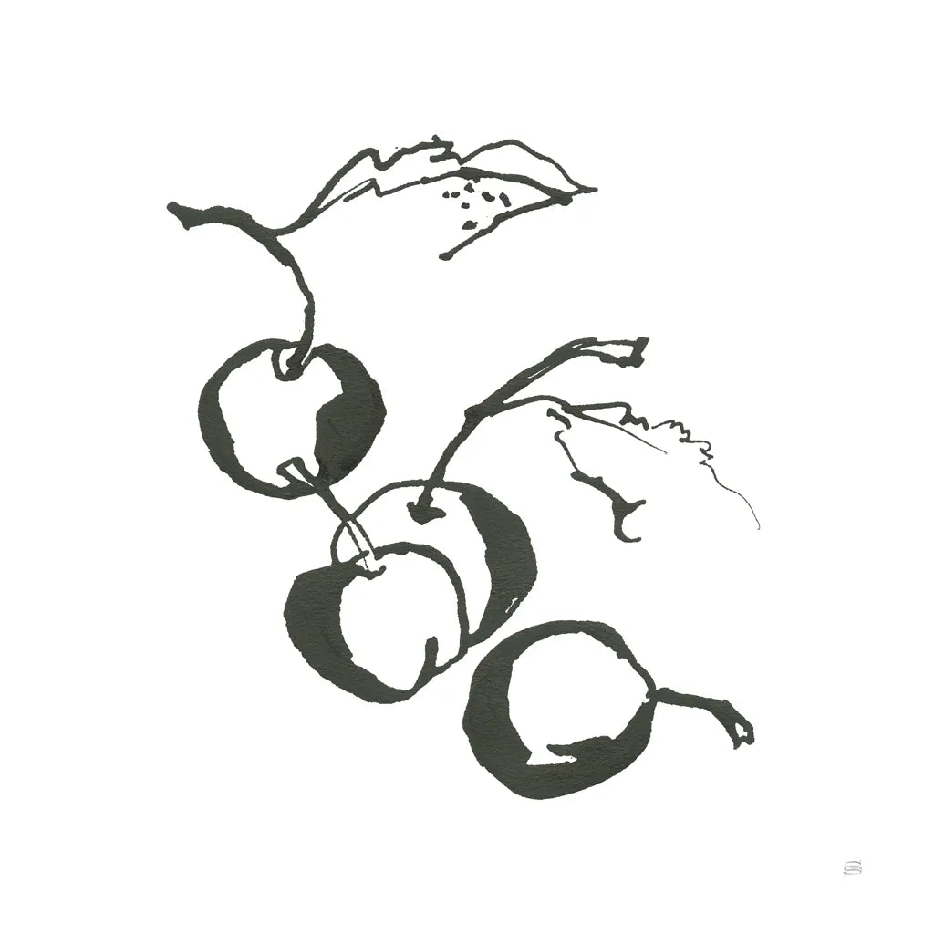 Cherries BW by Chris Paschke. SKU 64213a. Archival Giclee Fine art print for wall decor.