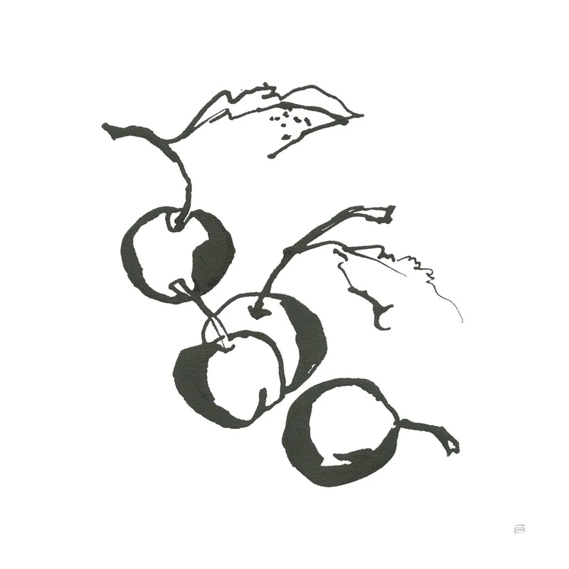 Cherries BW by Chris Paschke. SKU 64213a. Archival Giclee Fine art print for wall decor.