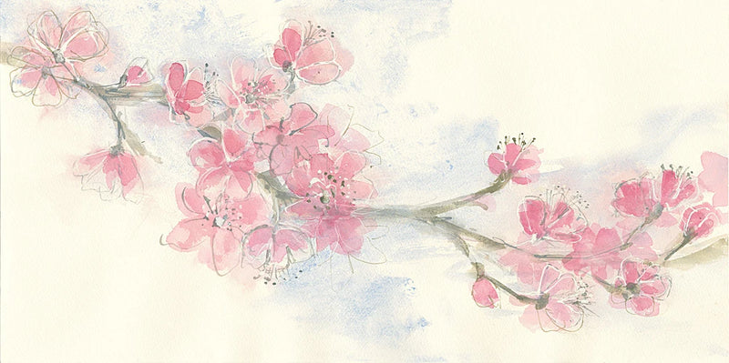 Cherry Blossom II by Chris Paschke