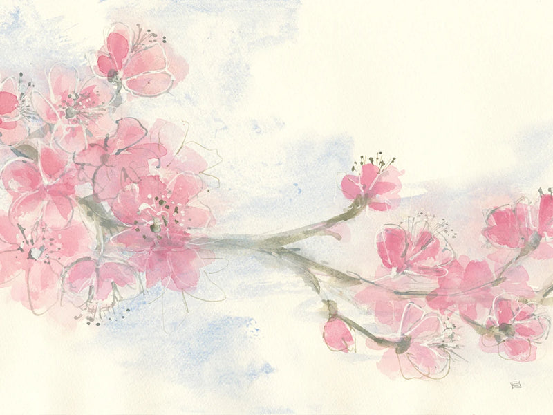 Cherry Blossoms II Crop by Chris Paschke