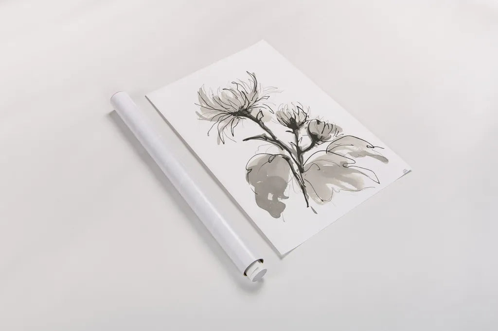 Chrysanthemum I by Chris Paschke. shown as a rolled paper print. Available as archival giclee rolled canvas, fine art paper, or poster print. SKU 74364h.