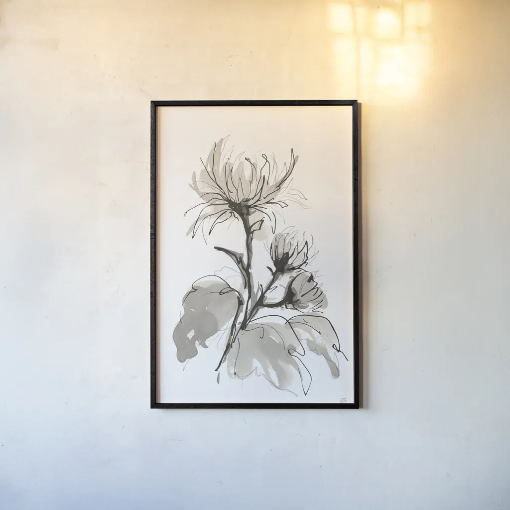 Chrysanthemum I by Chris Paschke. shown as a paper print in a black flame. Available as a archival giclee rolled canvas, fine art paper, or poster print. SKU 74364h.