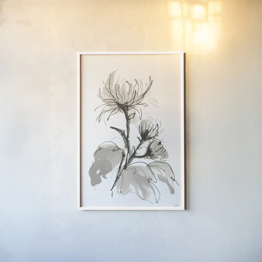 Chrysanthemum I by Chris Paschke. shown as a paper print in a white frame. Available as a archival giclee rolled canvas, fine art paper, or poster print. SKU 74364h.