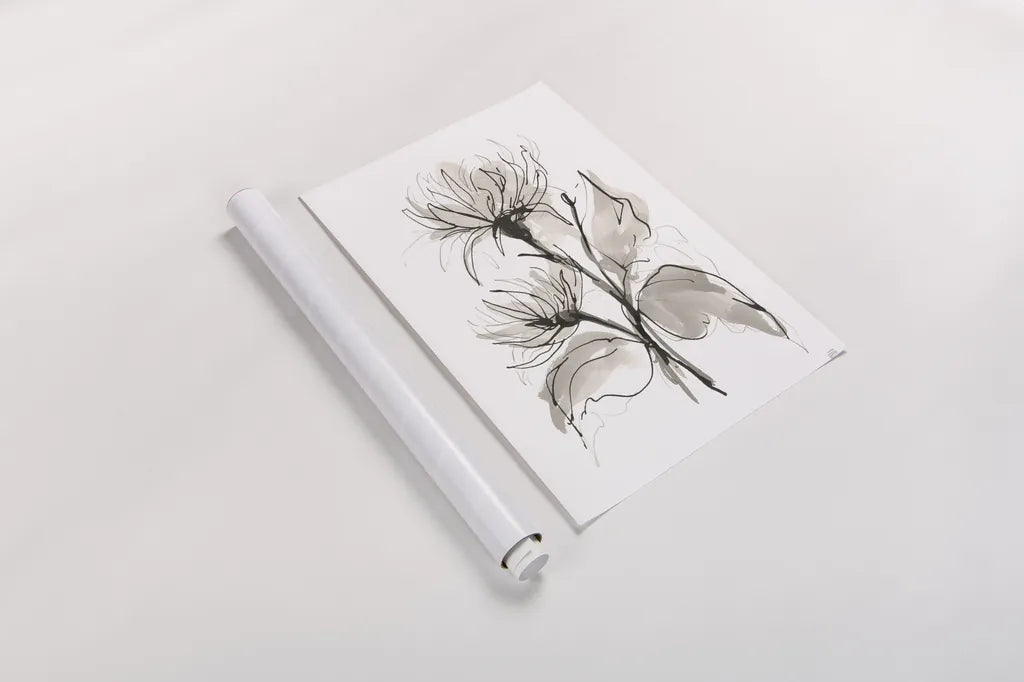 Chrysanthemum II by Chris Paschke. shown as a rolled paper print. Available as archival giclee rolled canvas, fine art paper, or poster print. SKU 74365h.