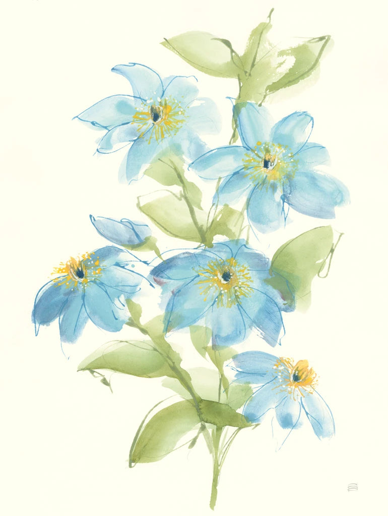 Clematis Bouquet I by Chris Paschke