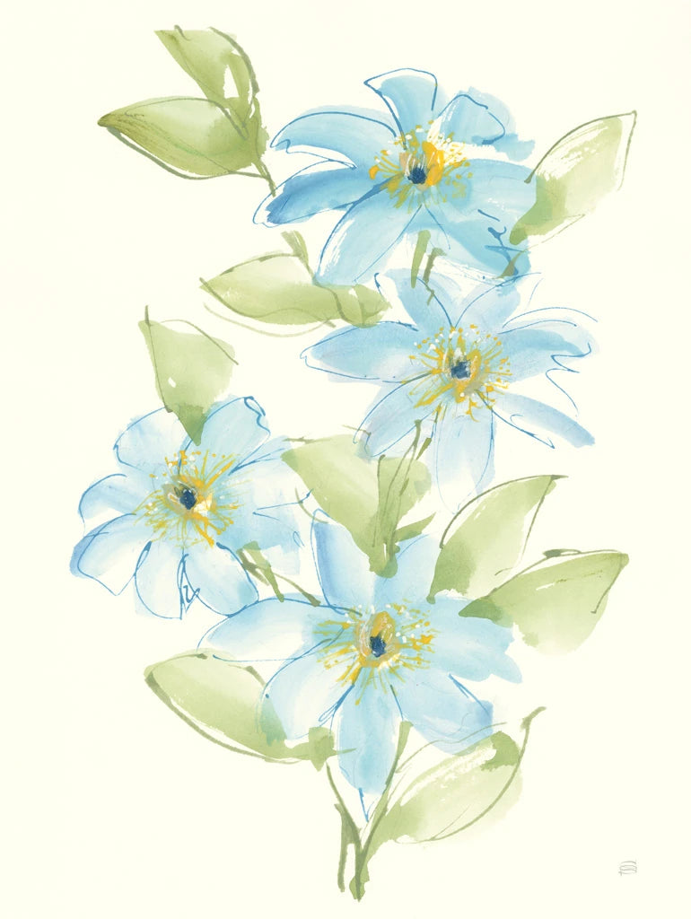 Clematis Bouquet II by Chris Paschke