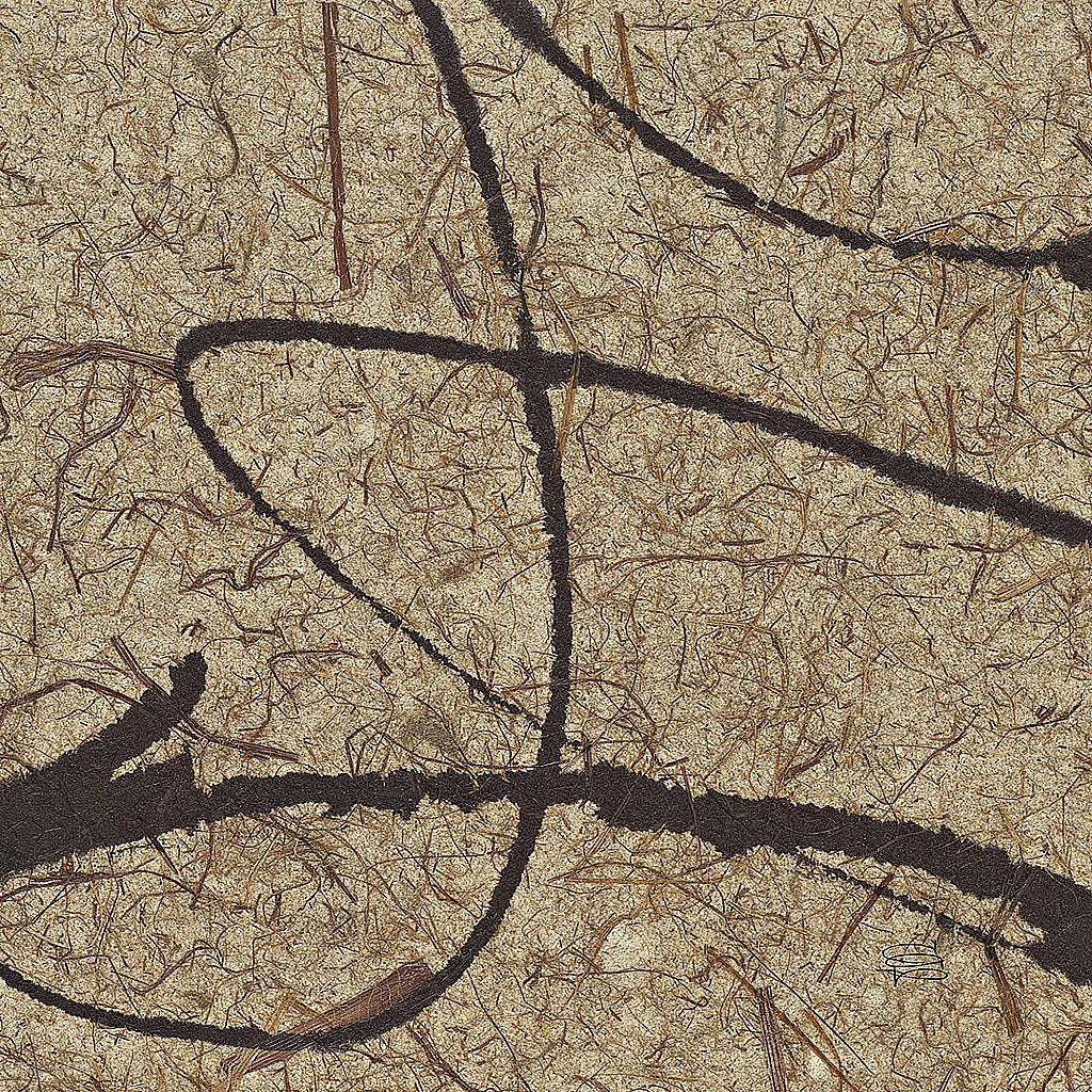 Contemporary Scroll Square III by Chris Paschke. SKU 9422a. Archival Giclee Fine art print for wall decor.