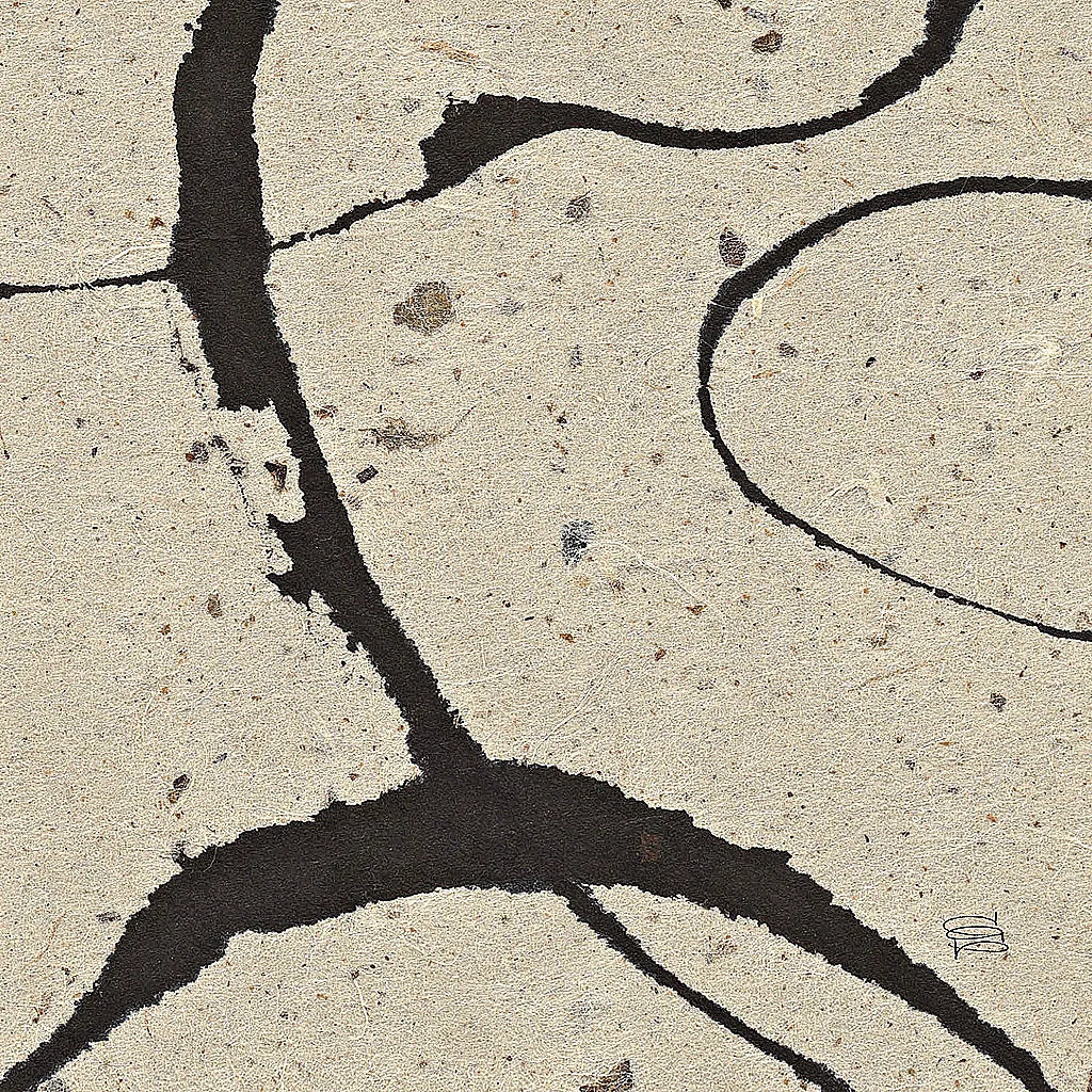 Contemporary Scroll Square IV by Chris Paschke. SKU 9423a. Archival Giclee Fine art print for wall decor.