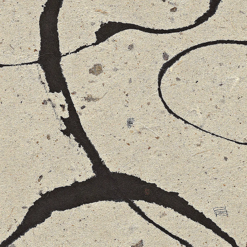 Contemporary Scroll Square IV by Chris Paschke. SKU 9423a. Archival Giclee Fine art print for wall decor.