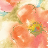 Coral Poppy I by Chris Paschke. SKU 50157a. Archival Giclee Fine art print for wall decor.