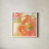 Coral Poppy I by Chris Paschke. Shown in a crisp white glass frame for a clean and minimalist style. Available as an archival giclee rolled canvas, fine art paper, or poster print. SKU 50157a.