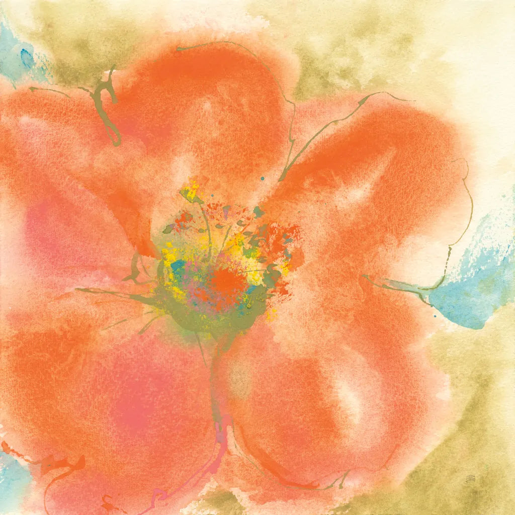 Coral Poppy II by Chris Paschke. SKU 50158a. Archival Giclee Fine art print for wall decor.