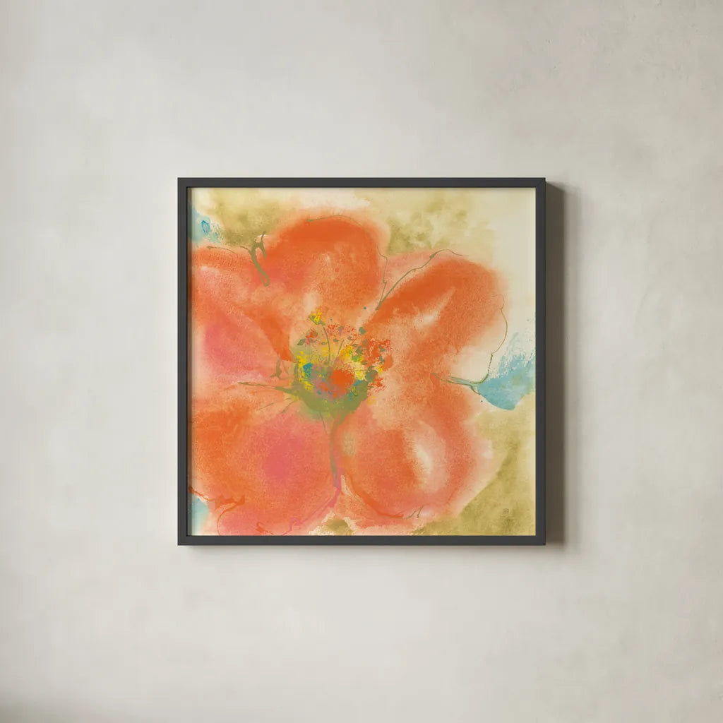 Coral Poppy II by Chris Paschke. Shown in a sleek black glass frame for a contemporary gallery look. Available as an archival giclee rolled canvas, fine art paper, or poster print. SKU 50158a.