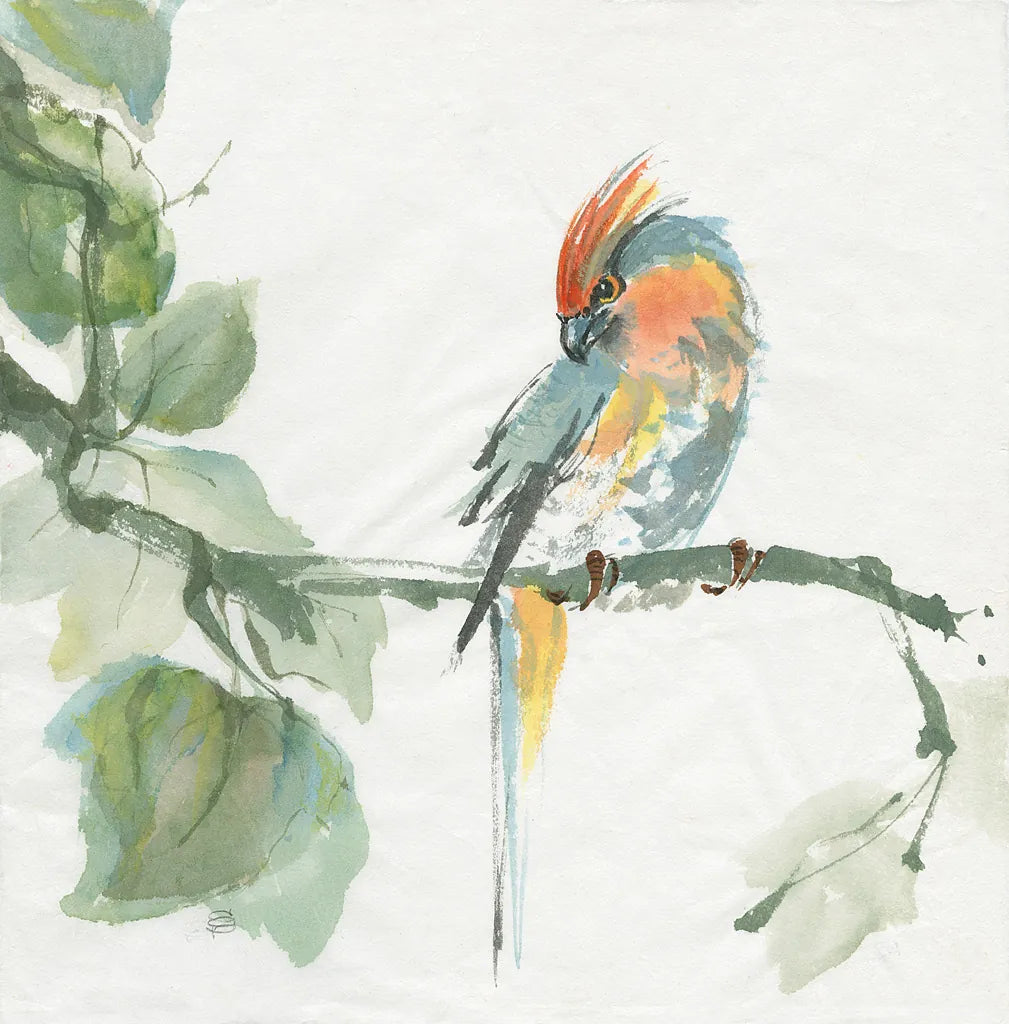 Crested Cockatoo by Chris Paschke. SKU 23937a. Archival Giclee Fine art print for wall decor.