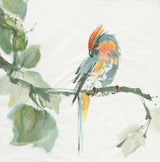 Crested Cockatoo by Chris Paschke. SKU 23937a. Archival Giclee Fine art print for wall decor.