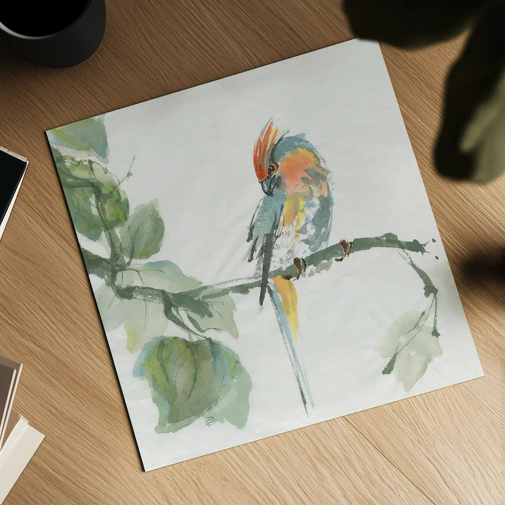 Crested Cockatoo by Chris Paschke. Shown as a detailed flat fine art print, highlighting archival giclee quality. Available as an archival giclee rolled canvas, fine art paper, or poster print. SKU 23937a.