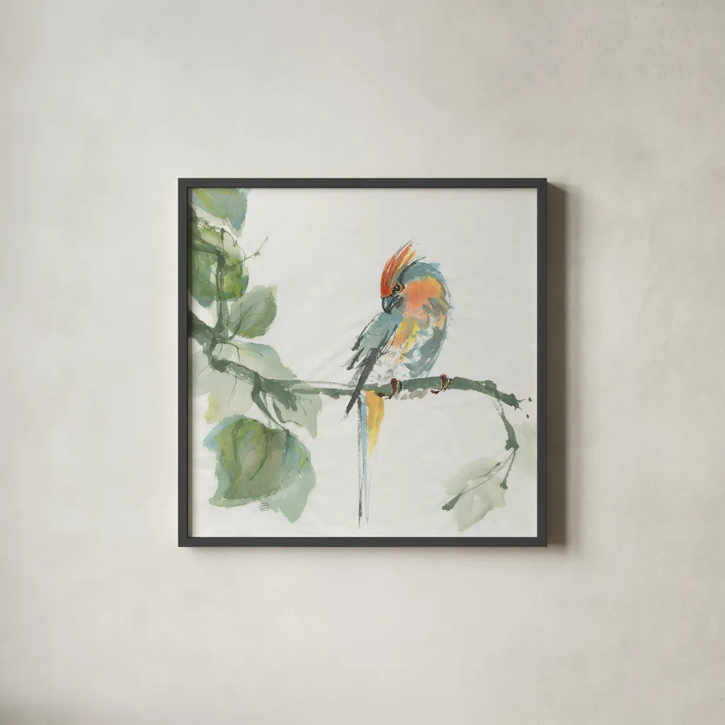 Crested Cockatoo by Chris Paschke. Shown in a sleek black glass frame for a contemporary gallery look. Available as an archival giclee rolled canvas, fine art paper, or poster print. SKU 23937a.