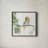 Crested Cockatoo by Chris Paschke. Shown in a sleek black glass frame for a contemporary gallery look. Available as an archival giclee rolled canvas, fine art paper, or poster print. SKU 23937a.