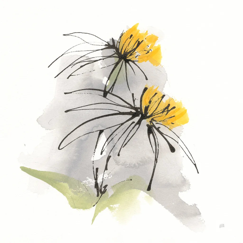 Crosby Cone Flower I by Chris Paschke. SKU 88086a. Archival Giclee Fine art print for wall decor.