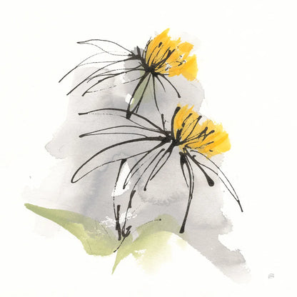 Crosby Cone Flower I by Chris Paschke. SKU 88086a. Archival Giclee Fine art print for wall decor.