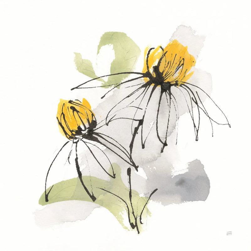 Crosby Cone Flower II by Chris Paschke. SKU 88087a. Archival Giclee Fine art print for wall decor.