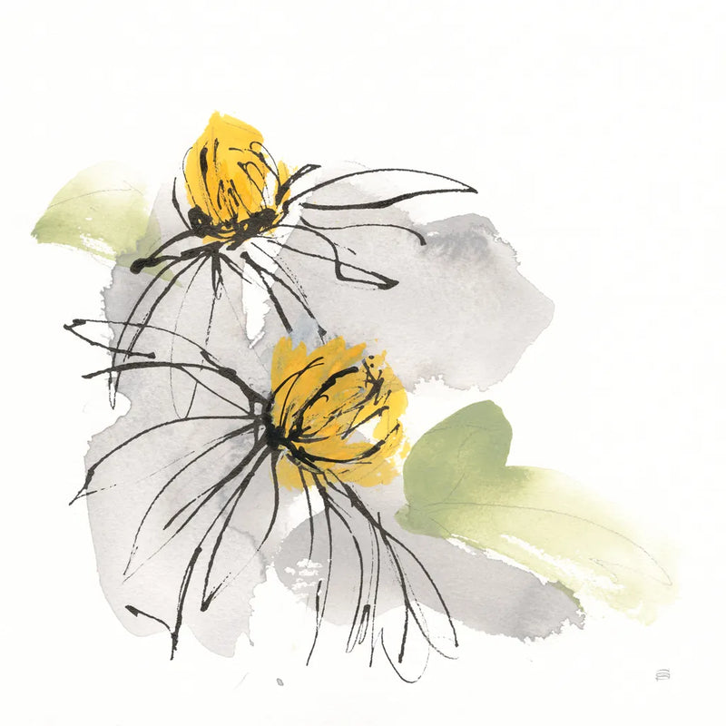 Crosby Cone Flower III by Chris Paschke. SKU 88088a. Archival Giclee Fine art print for wall decor.