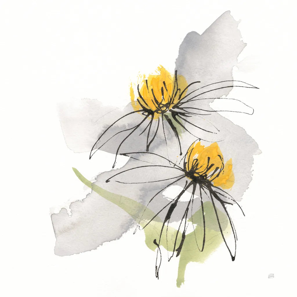 Crosby Cone Flower IV by Chris Paschke. SKU 88089a. Archival Giclee Fine art print for wall decor.