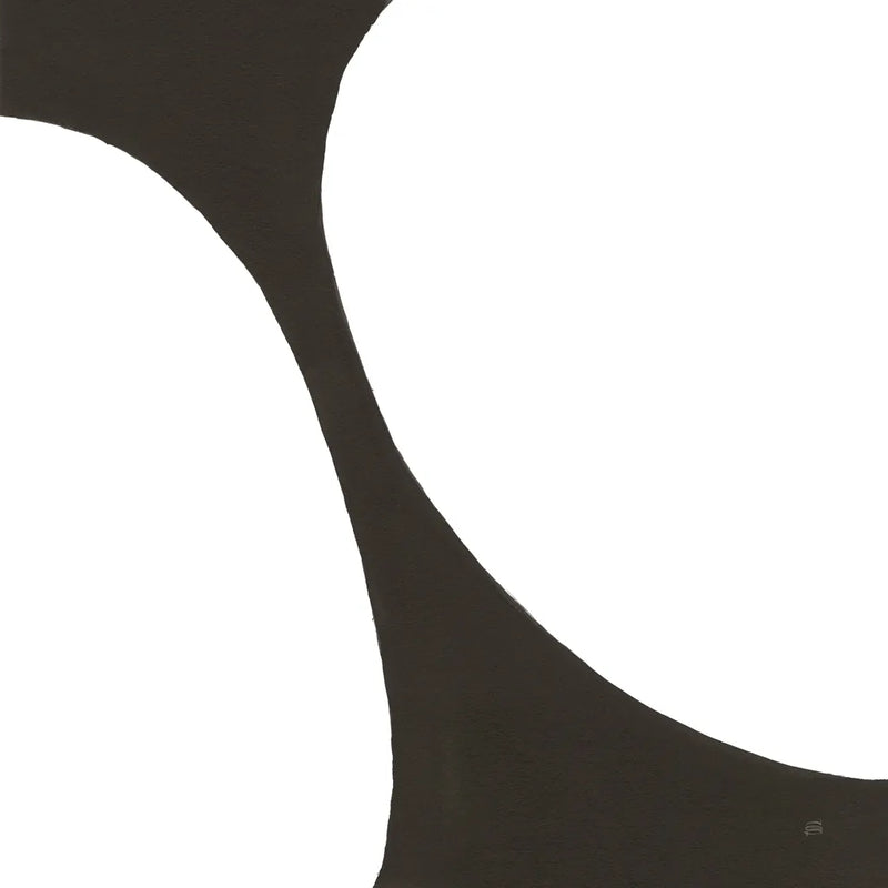 Curvilinear V by Chris Paschke. SKU 86233a. Archival Giclee Fine art print for wall decor.